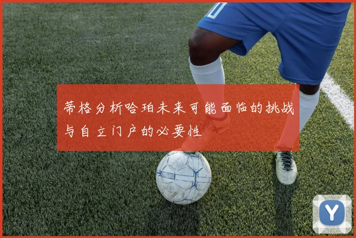 蒂格分析哈珀未来可能面临的挑战与自立门户的必要性